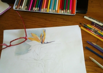 IMG_20180904_115501_143